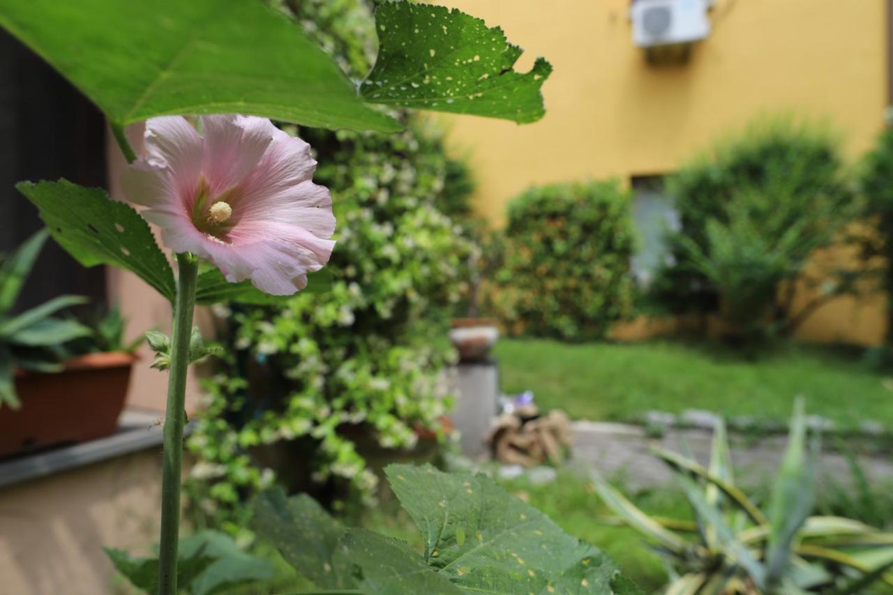 La Corte Del Pratello Bologna Exteriör bild